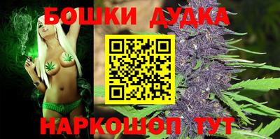шишки Шебекино