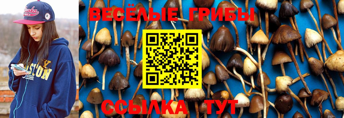 Псилоцибиновые грибы мухоморы Боровичи